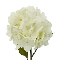 25" Cream Hydrangea Stem by Ashland®