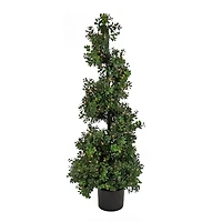 4ft. Pre-Lit Boxwood Spiral Topiary In Nursery Pot