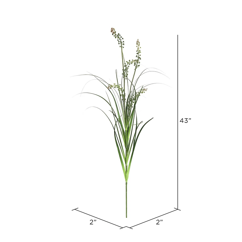 6 Pack: Green Sheep's Grass Spray