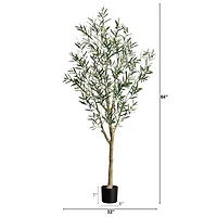 7ft. Potted Greco Olive Tree