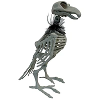 11.5" Crow Skeleton with Feathers by Ashland®