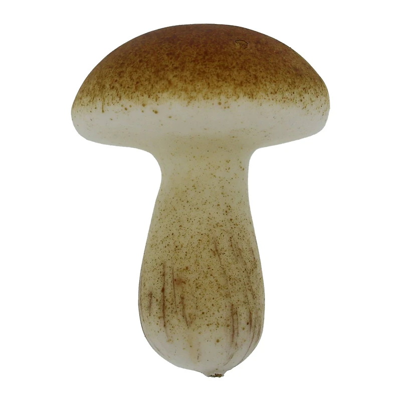 Yellow, Red & Brown Decorative Mushroom Mix, 6ct. by Ashland®