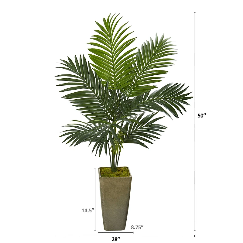 4.2ft. Kentia Palm Tree in Green Planter