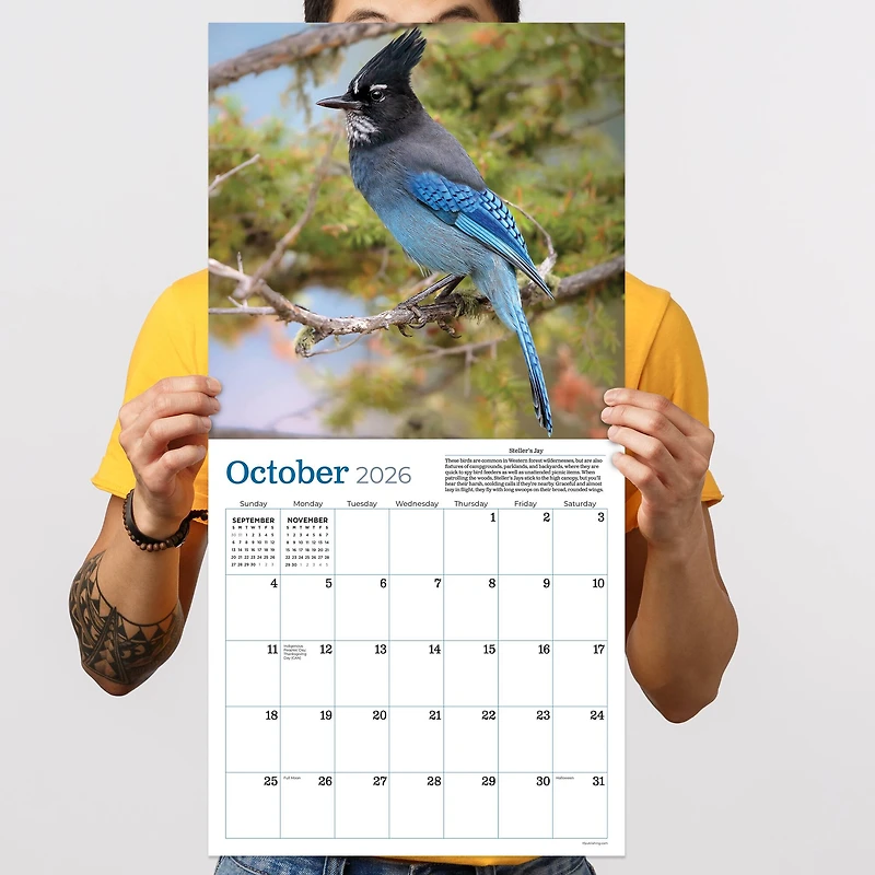 2026 Backyard Birds Wall Calendar