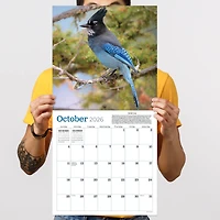 2026 Backyard Birds Wall Calendar