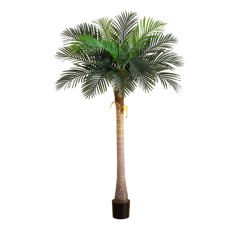 7ft. Potted Coconut Palm Tree