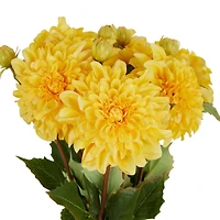 30" Dahlia Artificial Flower Stem