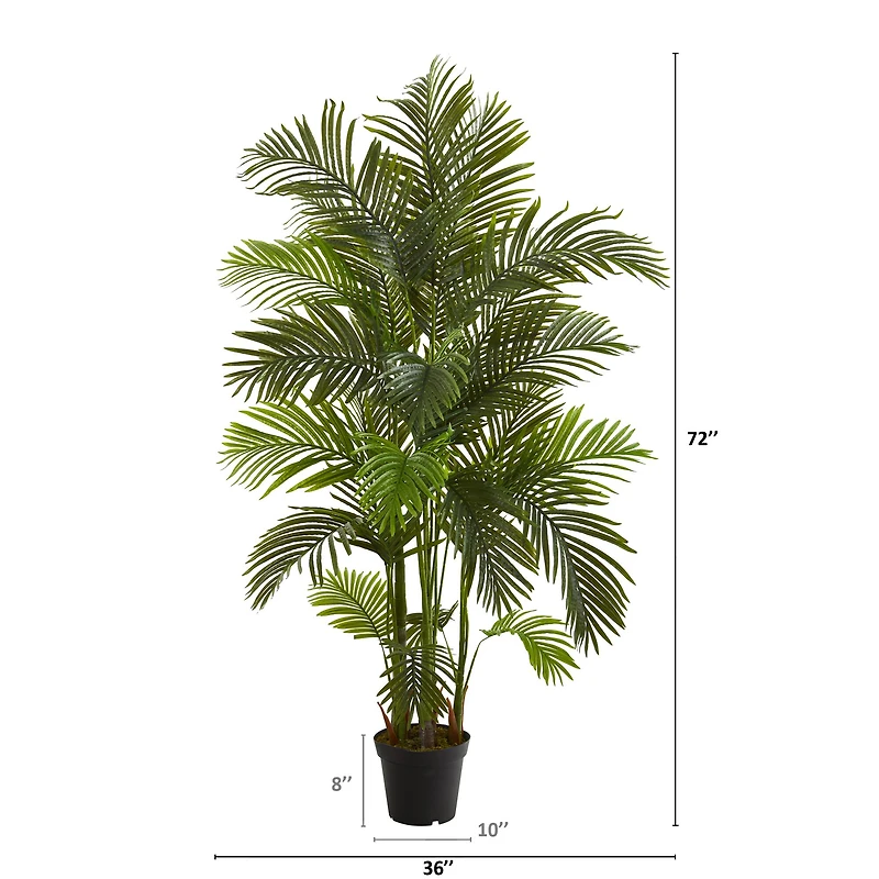 6ft. Potted Areca Palm Tree