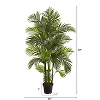 6ft. Potted Areca Palm Tree