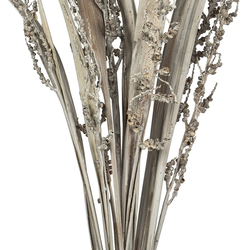 Dried White Wash Bahia Spears Bunch with Seeds, 2ct.