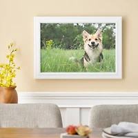 Home White Tuscany Frame by Studio Décor®