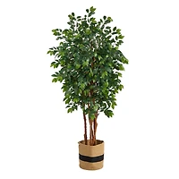 7ft. Sakaki Artificial Tree in Handmade Natural Cotton Planter