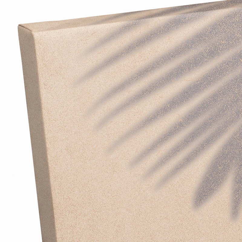 Sunbathing Palm Shadows Canvas Wall Art