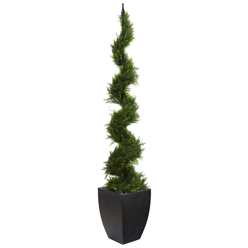 6ft. Cypress Spiral Tree in Black Planter