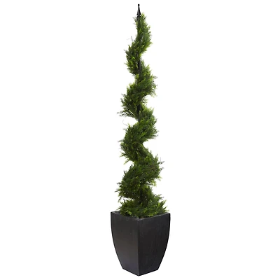 6ft. Cypress Spiral Tree in Black Planter
