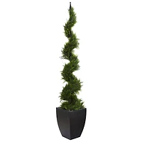 6ft. Cypress Spiral Tree in Black Planter