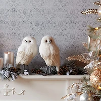 12.5" Winter Owl Décor Set