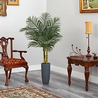 4.8ft. Golden Cane Palm Tree in Tall Gray Planter