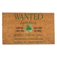 Leprechauns Wanted 30" x 18" Door Mat