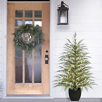 4ft. Pre-Lit Mountain Cedar Artificial Potted Christmas Tree, Warm White LED Rice Lights