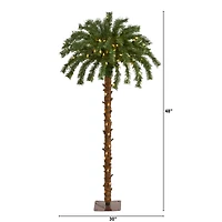 4ft. Pre-Lit Christmas Palm Artificial Tree with Warm White LED Lights