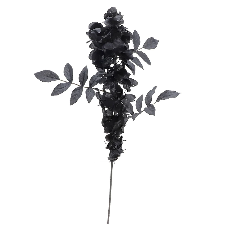 12 Pack: Black Wisteria Stem by Ashland®
