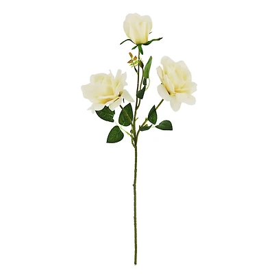 28" Cream Rose Real Touch Stem by Ashland®