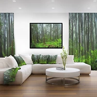 Designart - Hoh Rain Forest