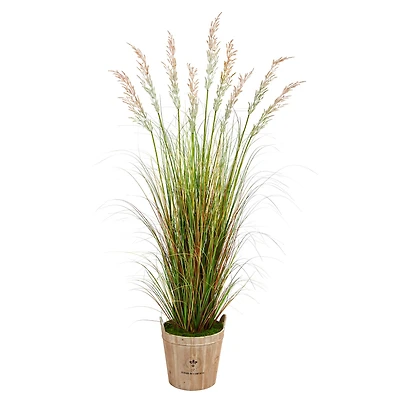 6ft. Grass Plant in Farmhouse Planter