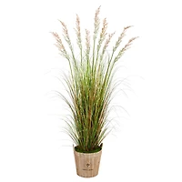 6ft. Grass Plant in Farmhouse Planter