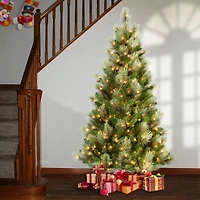 6ft. Pre-Lit Charleston Pine Artificial Christmas Tree, Clear Lights