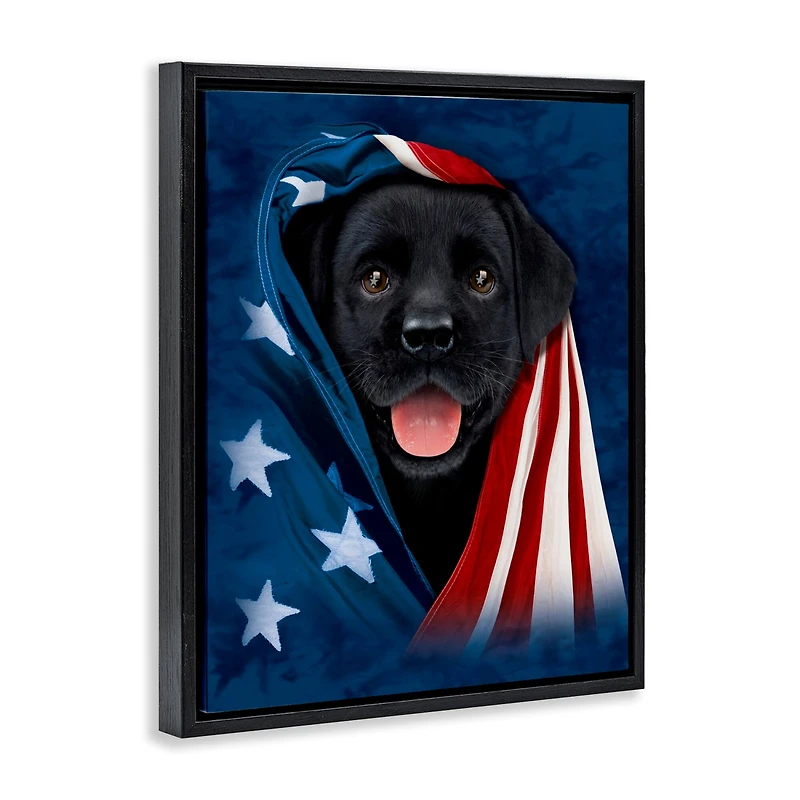Stupell Industries Labrador & American Flag Floater Framed Art