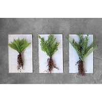 Hello Honey® Faux Ferns with Exposed Roots Set