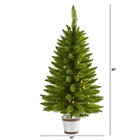 3ft. Pre-Lit Providence Pine Artificial Christmas Tree