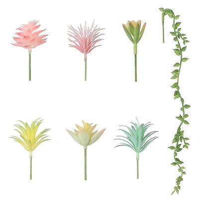 Succulent Mix by Ashland®