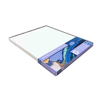 Level 1 Back Stapled Canvas by Artist's Loft