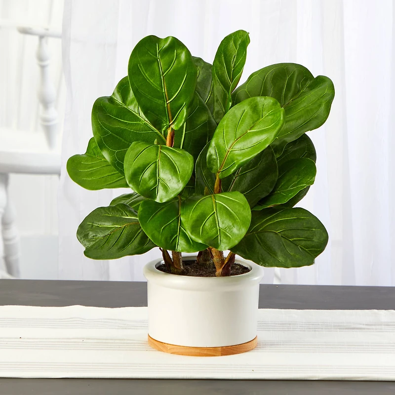 15" Fiddle Leaf Tree in White Planter
