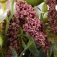 Light Pink Rose Bundle