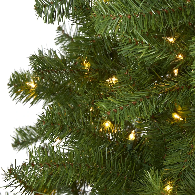 6ft. Pre-Lit Springfield Artificial Christmas Tree, Clear LED Lights