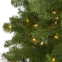 6ft. Pre-Lit Springfield Artificial Christmas Tree, Clear LED Lights
