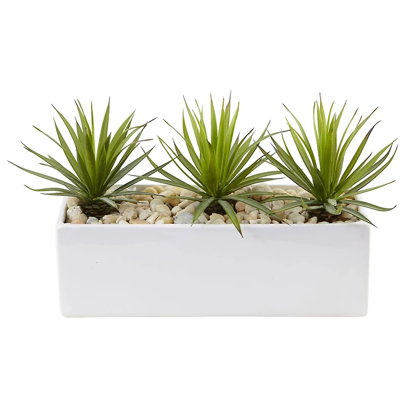 8" Mini Agaves in Rectangular Ceramic Planter