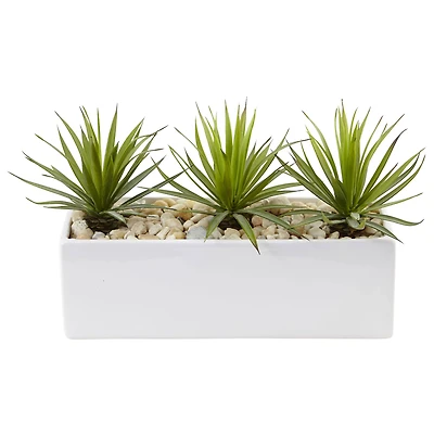 8" Mini Agaves in Rectangular Ceramic Planter
