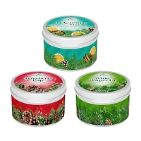 Scentsicles Candles White Winter Fir, O Christmas Tree and Snowberry Pine, 3 pack