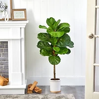 3.5ft. Fiddle Leaf Tree in White Ceramic Planter