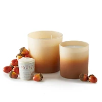 Root Candles Acorns & Suede 3-Wick Scented Beeswax Blend Candle