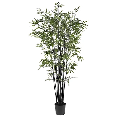 6.5ft. Potted Black Bamboo Silk Tree