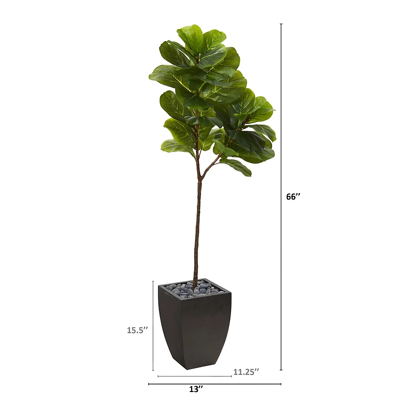 5.5ft. Fiddle Leaf Tree in Black Planter