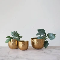 Hello Honey® Antique Gold Debossed Metal Planter Set