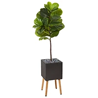 5ft. Fiddle Leaf Artificial Tree in Black Planter with Stand