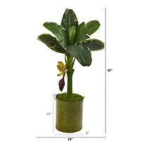 3ft. Banana Tree in Green Planter